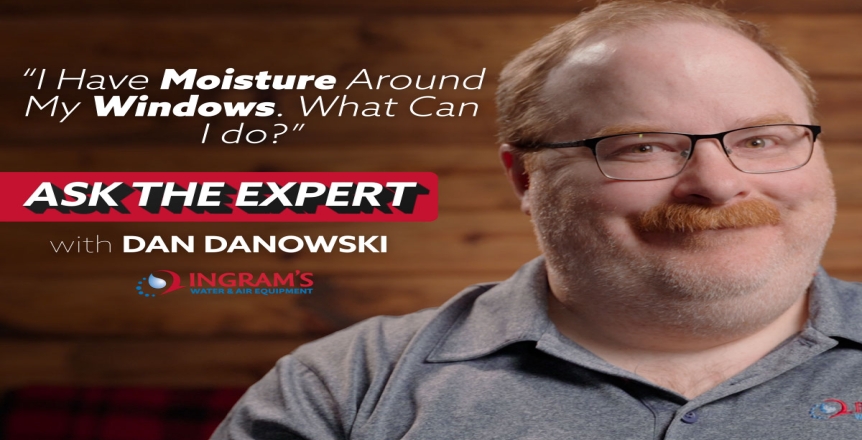 If you're still getting moisture around your windows despite using a dehumidifier, try out these tips!