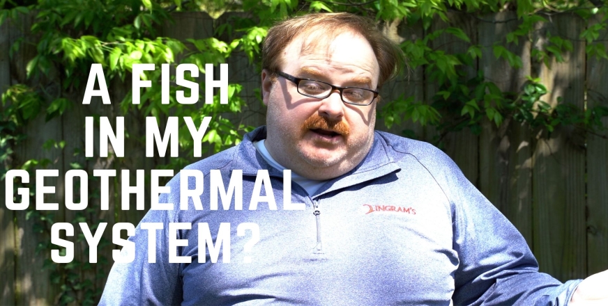 Fish in Closed-Loop Geothermal System
