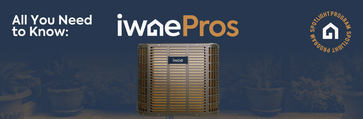 All You Need to Know About IWAEPros