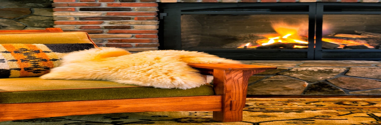 gas fireplace insert