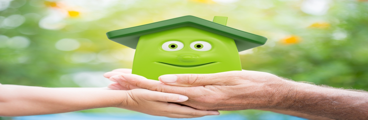 green home improvement