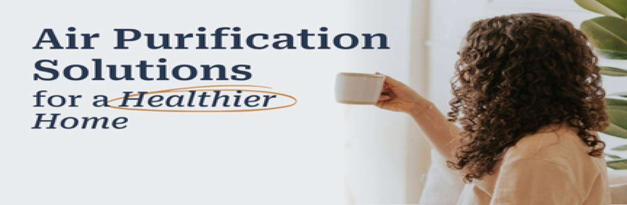 Air Purification Solutions for a Healthier Home