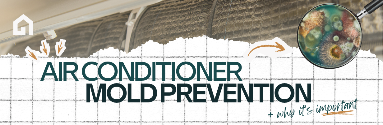 Air Conditioner Mold Prevention is Important