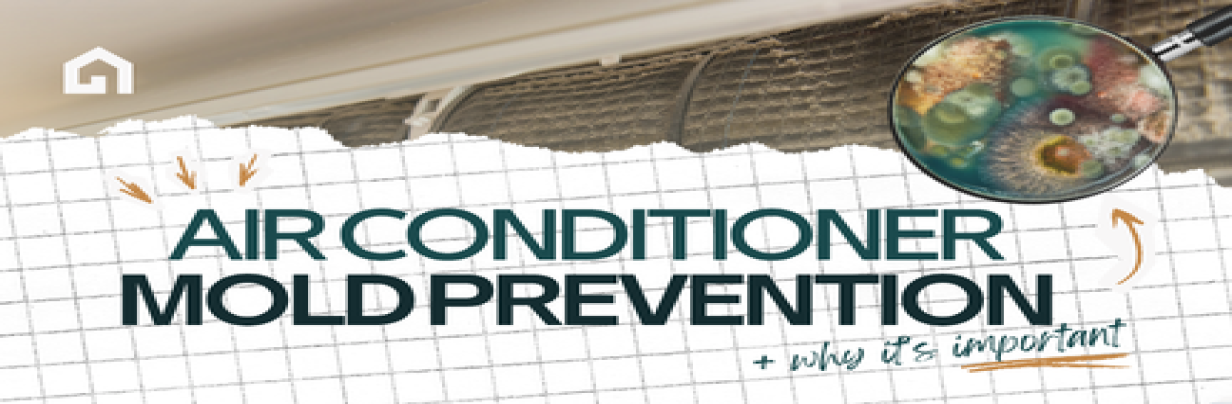 Air Conditioner Mold Prevention is Important