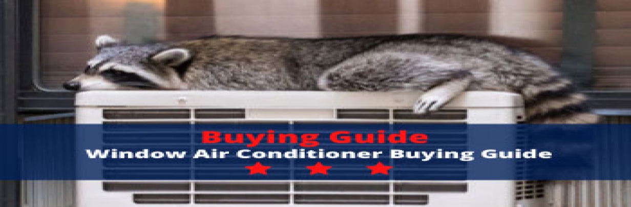 Window Air Conditioner Buying Guide