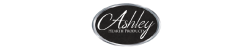 Ashley Hearth
