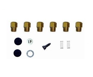 Propane Conversion Kits