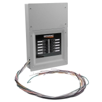 50 Amp Generac Automatic Transfer Switch and Load Center for 8 to 24kW Air Cooled Generator - 120/240v - 10 Circuit
