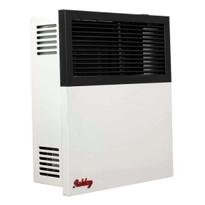 11k BTU Ashley Dual Fuel Direct Vent Wall Heater