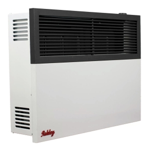 17k BTU Ashley Dual Fuel Direct Vent Wall Heater
