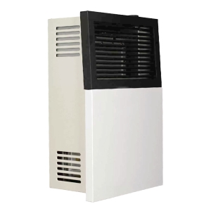 11k BTU Ashley Propane Direct Vent Wall Heater