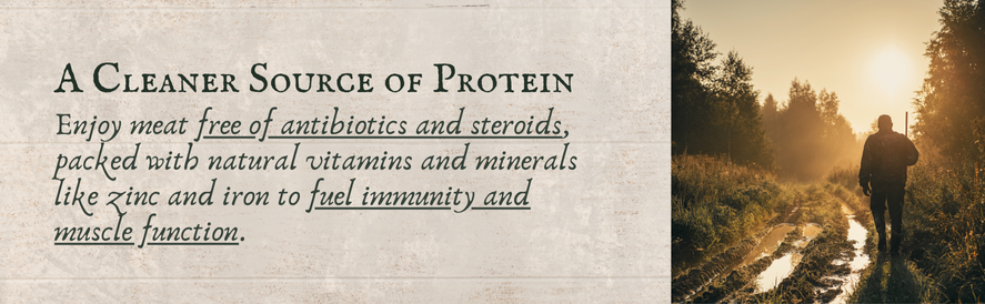 A Cleaner Source of Protein
