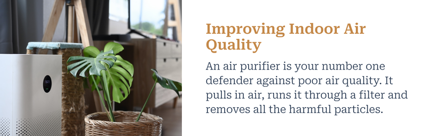 Improving Indoor Air Quality text: An air purifier is your number one defender against poor air quality. It pulls in air, runs it through a filter and removes all the harmful particles. image: Austin Air purifier beside an indoor plant
