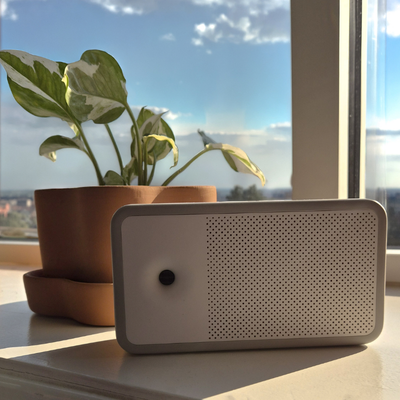 Trane Awair Element Smart Air Quality Monitor set up on a window ledge by air purifying plants