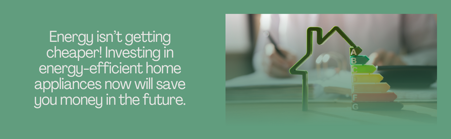 text: Energy isn&rsquo;t getting cheaper! Investing in energy-efficient home appliances now will save you money in the future. image: energy efficiency home