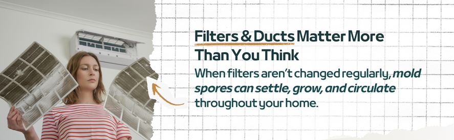 text: When filters aren&rsquo;t changed regularly, mold spores can settle, grow, and circulate throughout your home.