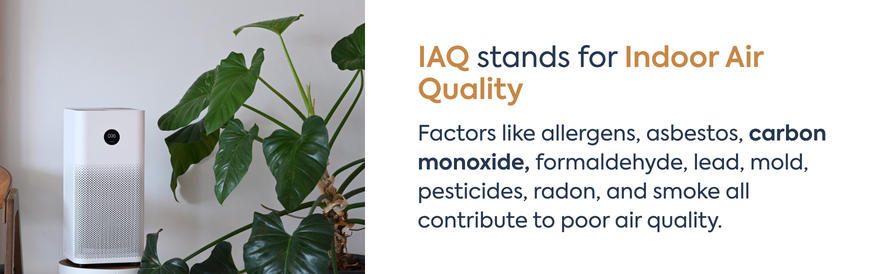 IAQ stands for Indoor Air Quality text: Factors like allergens, asbestos, carbon monoxide, formaldehyde, lead, mold, pesticides, radon, and smoke all contribute to poor air quality. image: a white air purifier next to a pothos plant