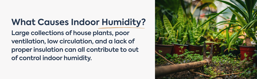 what causes indoor humidity? text: Large collections of house plants, poor ventilation, low circulation, and a lack of proper insulation can all contribute to out of control indoor humidity. image: indoor houseplants