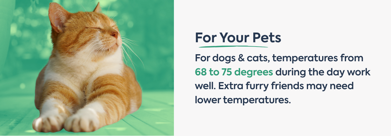 text: For dogs & cats, temperatures from 68 to 75 degrees during the day work well. Extra furry friends may need lower temperatures.