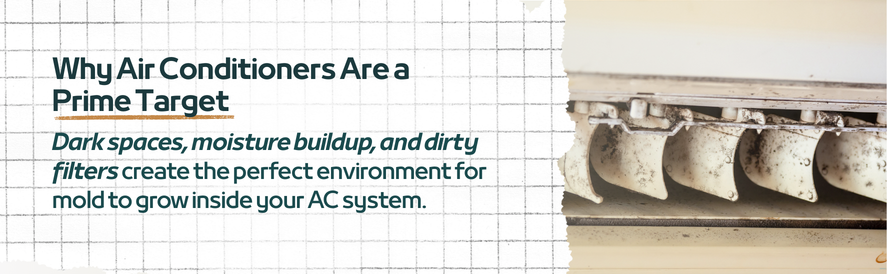 text: Dark spaces, moisture buildup, and dirty filters create the perfect environment for mold to grow inside your AC system.