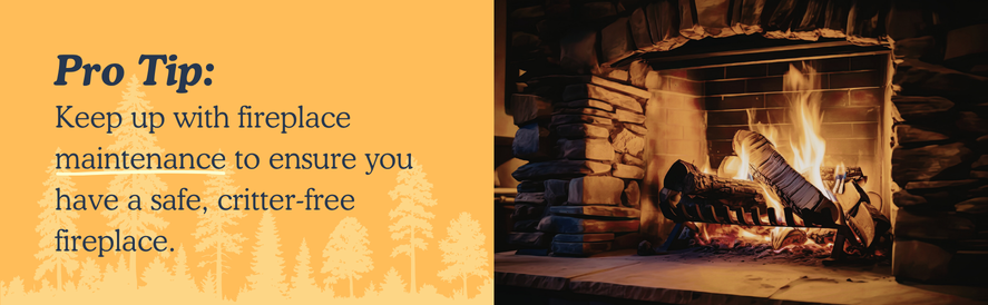 Homestead Masonry Fireplace Pro Tip text: Keep up with fireplace maintenance to ensure you have a safe, critter-free fireplace. image: a masonry fireplace with a fire lit
